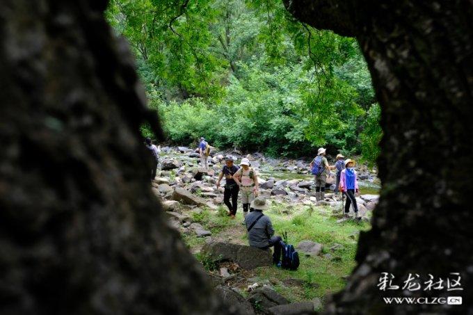 贝莱德将向阿特斯太阳能旗下子公司投资5亿美元
